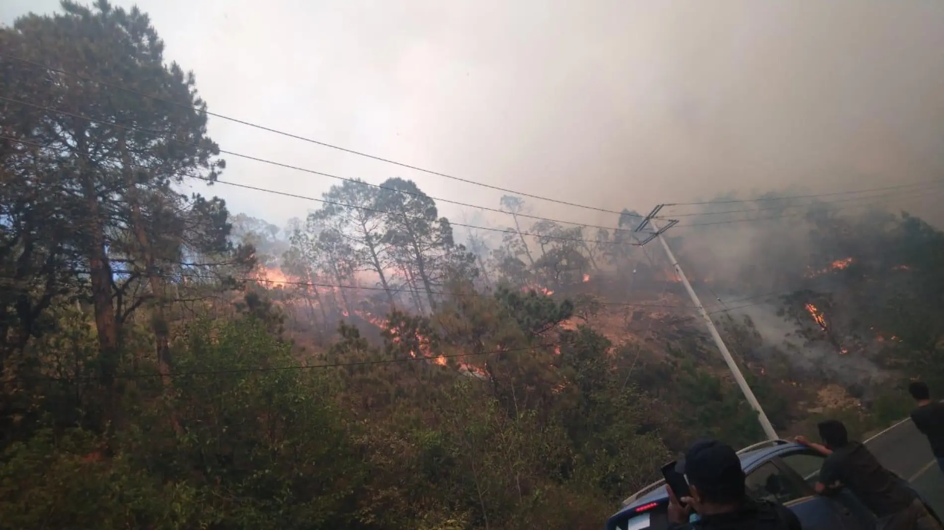 INCENDIO EN ZOQUITLAN 02 Cortesia